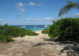 Beach and Boats